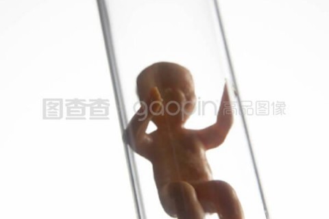http://qingdao.nbgk120.com/post/209.html|青岛捐卵费用