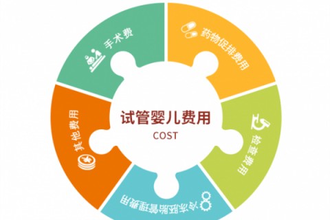 青岛捐卵宝宝肚痛，父母该怎么办？